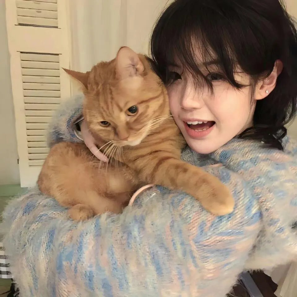 穿靴子的猫:萌猫三剑客 在线观看